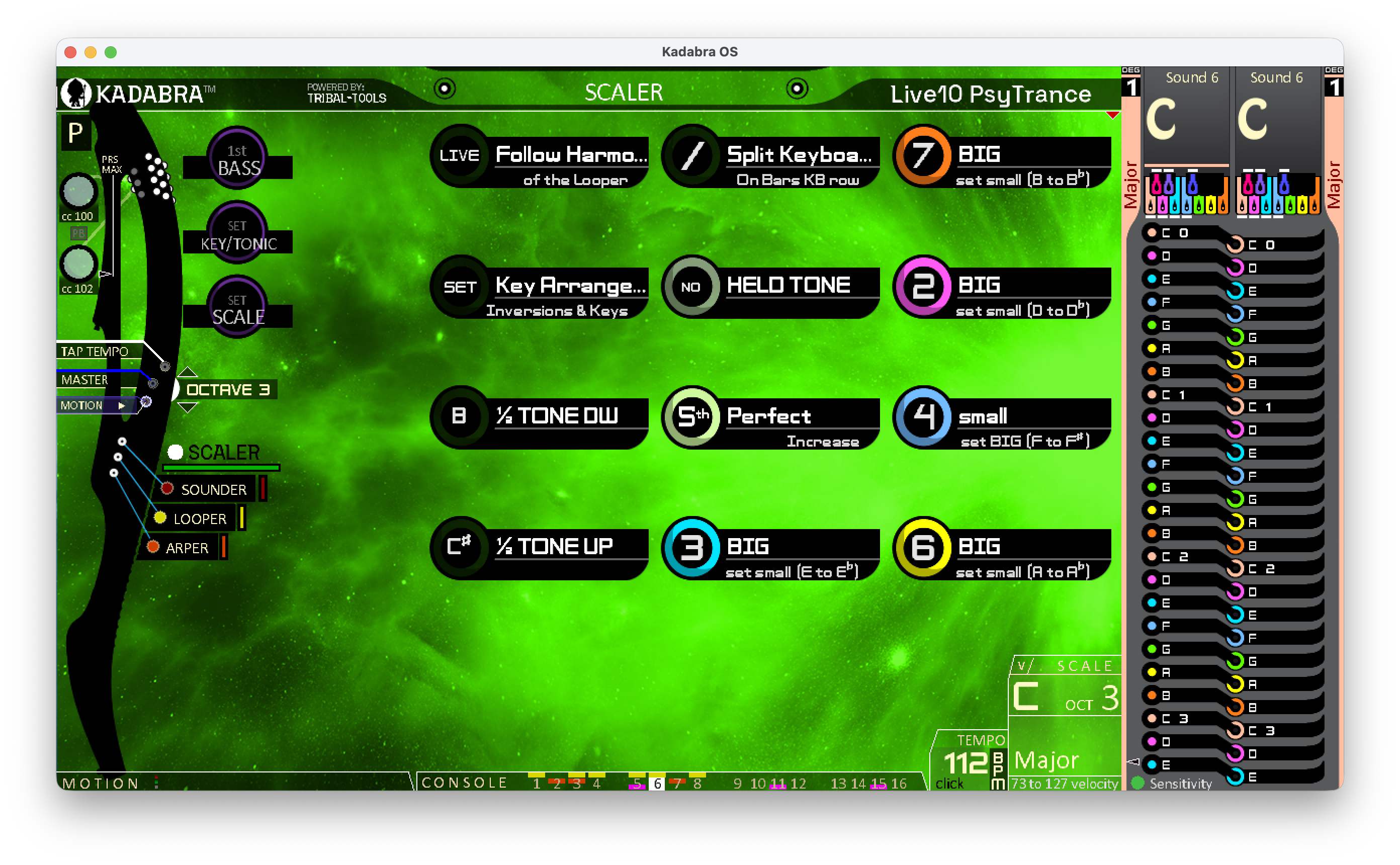 Scaler main screen