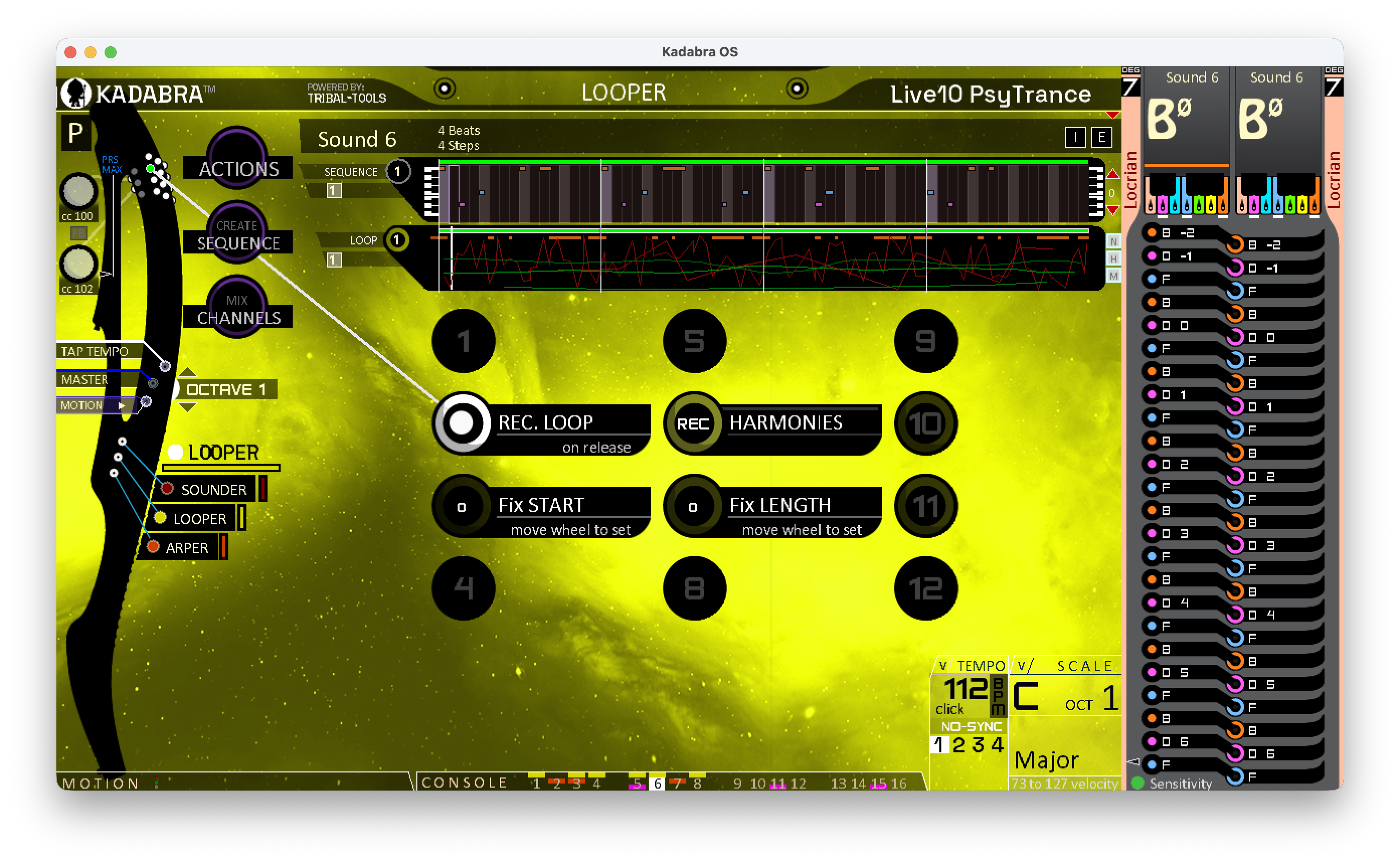 Looper Rec Loop options