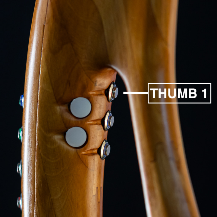 Thumb 1 physical button
