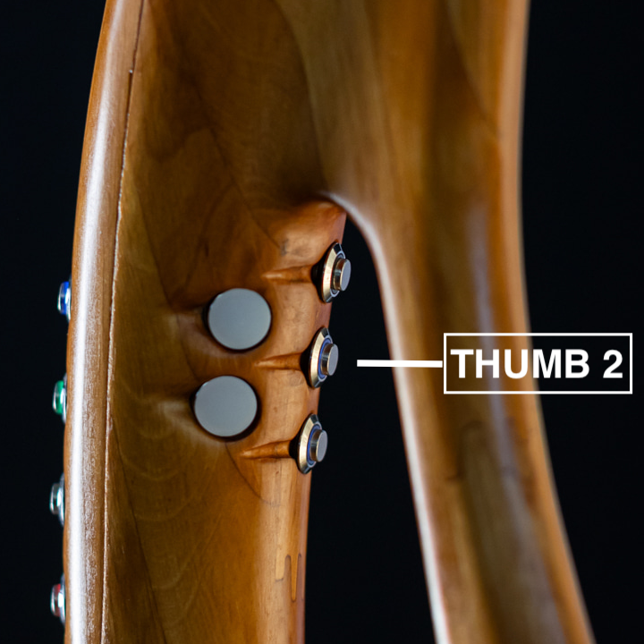 Thumb 2 physical button