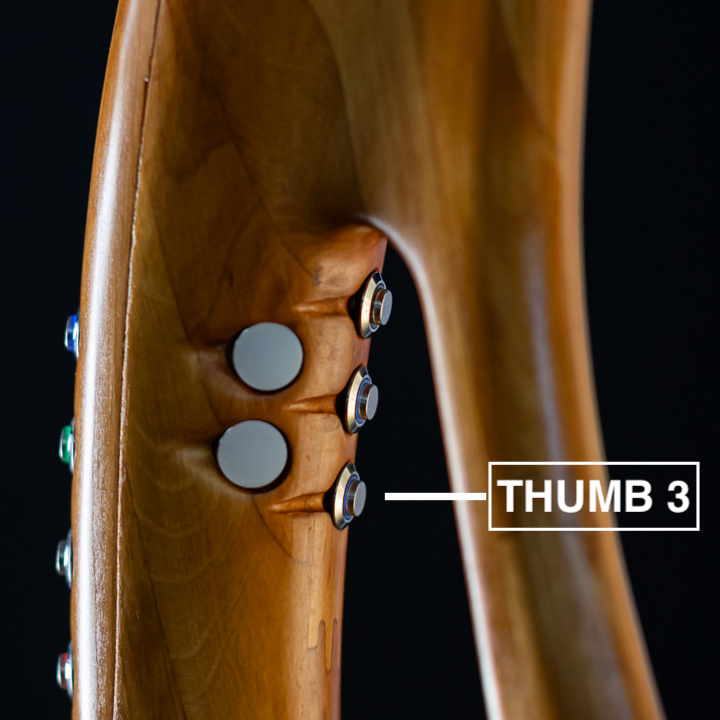 Thumb 2 physical button